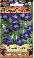 Trailing Snapdragon, Purple - Seeds
