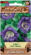 MORAVOSEED Serleglonc lila - Vetőmag