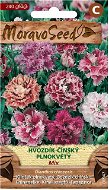 Chinese Full-flowered Carnation, Mixture - Seeds