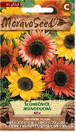 Sunflower Annual Simple, Mixture - Seeds
