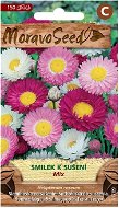 Paper Daisy Pink for Drying, Mixture - Seeds