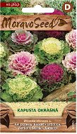 Ornamental Cabbage - Seeds