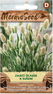 Hare's Tail Grass for Drying - Seeds