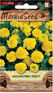 Marigold Full-flowered, Yellow - Seeds