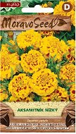 Marigold Full-flowered Yellow-orange - Seeds
