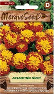 Marigold Full-flowered, Brown-yellow - Seeds