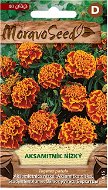Marigold Full-flowered, Orange-brown - Seeds