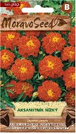 Full-flowered, Reddish-brown Marigold - Seeds