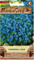 Forget-me-not, Blue - Seeds