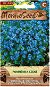 Forget-me-not, Blue - Seeds