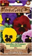 Pansy Swiss simple, mixed - Seeds