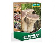 Oyster mushroom 250ml - Wood-Decay Fungi