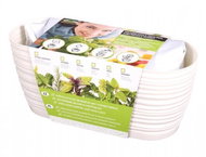 Growing set GARDEN SAHARA-PETRŽEL SMOOTH 27cm Beige - Herbs