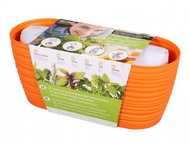 Growing set GARDEN SAHARA-ROSEMARY 27cm Orange - Herbs