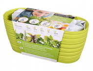 Growing set GARDEN SAHARA-THYME 27cm Green - Herbs