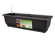 Self-watering box TORENIE plastic 50cm - Flower Box