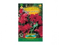 Begonia overhanging RED 2pcs - Bulbous Plants