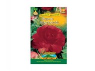 Begonia large-flowered RED 2pcs - Bulbous Plants
