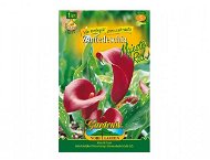 Kala MAJESTIC RED 1pc - Bulbous Plants