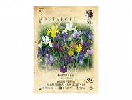 Iris iris 50pcs - Bulbous Plants
