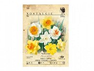 Daffodil 20pcs - Bulbous Plants