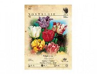 Tulip 13pcs - Bulbous Plants