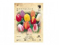 Tulip 25pcs - Bulbous Plants