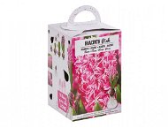 Hyacinth 1pc box - Bulbous Plants