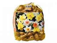 Daffodil 3kg bag - Bulbous Plants