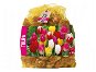 Tulip 75pcs bag - Bulbous Plants