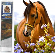 Norimpex Horse Tenderness 30 × 40 cm - Diamond Painting