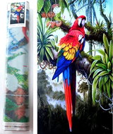 Norimpex Colourful parrots 80 × 40 cm - Diamond Painting