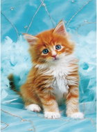 Norimpex Ginger kitten on blue background 30 × 40 cm - Diamond Painting