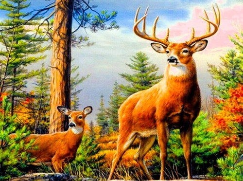 Norimpex Deer in the mountains 30 × 40 cm - Diamond Painting - Main image
