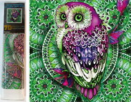 Norimpex 7D Owl on green mandala 30 × 30 cm - Diamond Painting