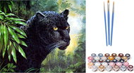 Norimpex Puma black, canvas on frame 40 × 50 cm - Painting by Numbers