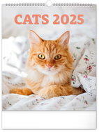 NOTIQUE Wall calendar Cats 2025, 30 × 34 cm - Wall Calendar