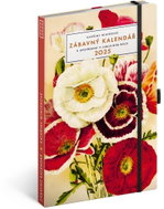 NOTIQUE Fun calendar of Katerina Winter 2025, 13 × 21 cm - Planner