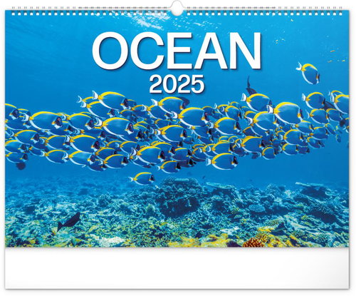 NOTIQUE Wall calendar Ocean 2025, 48 × 33 cm - Wall Calendar - Main image