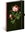 Roses of Katherine Winter, dotted, 13 × 21 cm