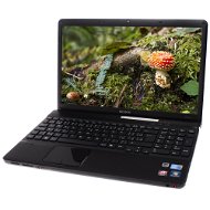 SONY VAIO VPCEB3S1E/BQ black - Laptop