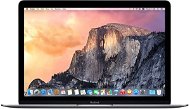 Alwayd New Laptop: MacBook 12'' SK Space Grey 2016 - Service