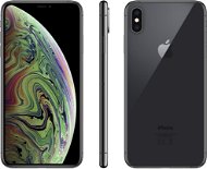 AlzaNEO Service: Mobile Phone iPhone Xs Max 64GB Space Grey - Service