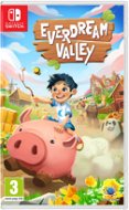 Everdream Valley - Nintentdo Switch - Console Game