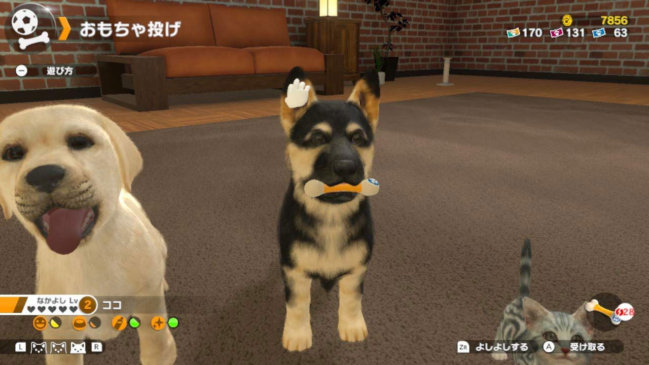 Nintendo switch dogs and 2024 cats game