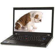 Lenovo ThinkPad T520 4240-5XG - Laptop