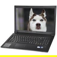 Lenovo IdeaPad B560 - Laptop