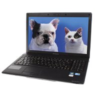 Lenovo IDEAPAD G560 - Laptop