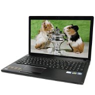 Lenovo IdeaPad G580 Dark Metal - Laptop