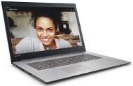 Lenovo IdeaPad 320-17IKB Platinum Grey - Laptop